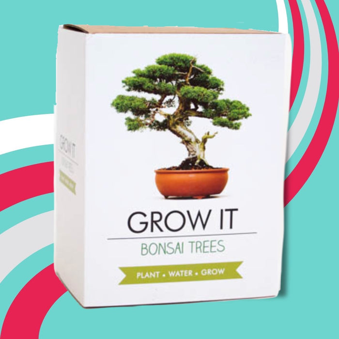 gift republic grow it bonsai tree Maktus