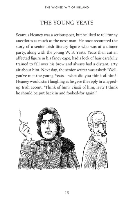The Wicked Wit Of Ireland