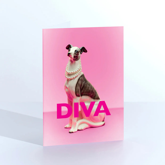 Diva Dog