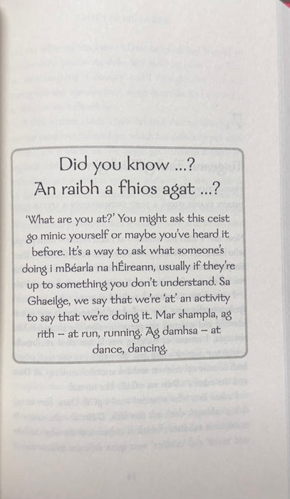 Gaeilge I Mo Chroí - Irish In My Heart