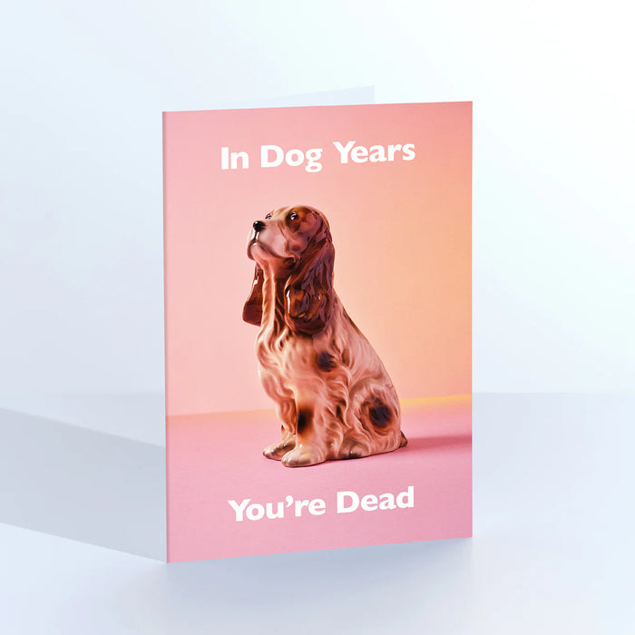 In Dog Years