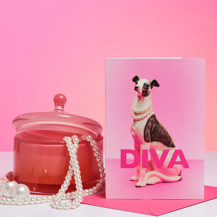 Diva Dog