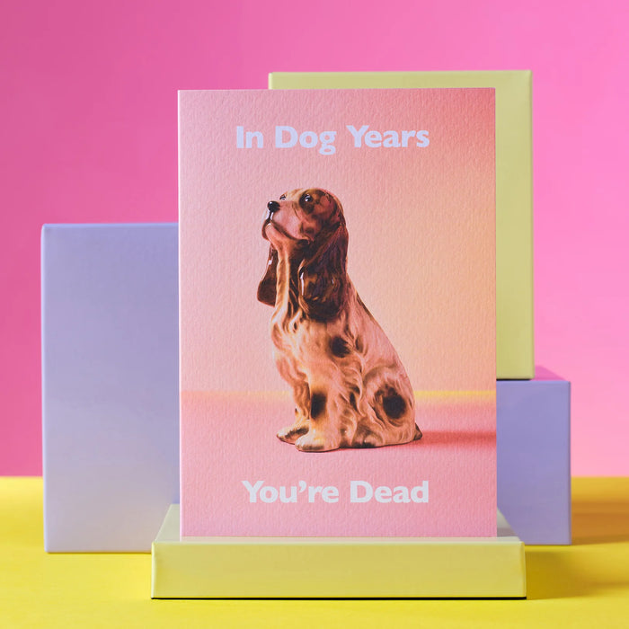 In Dog Years