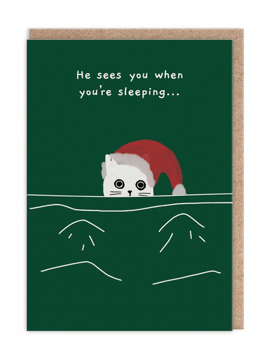 He Sees You When You're Sleeping Cat Christmas Card