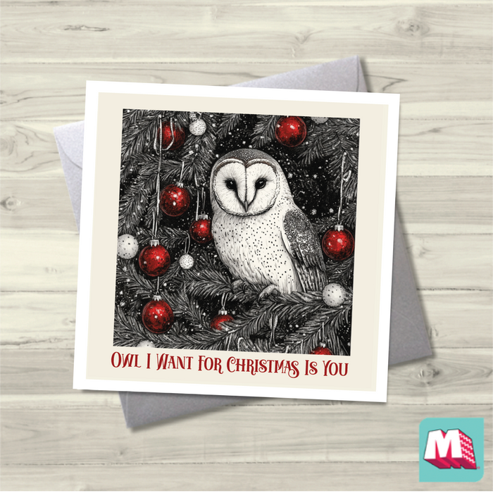 Owl I want For Christmas Is You