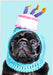 Pug Birthday Hat - Maktus