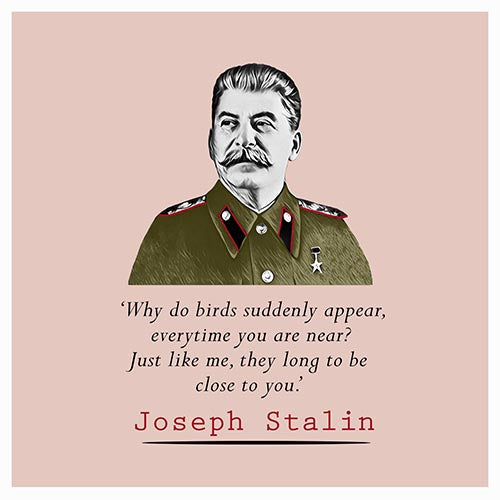 Stalin Quote- Why do birds suddenly appear - Maktus