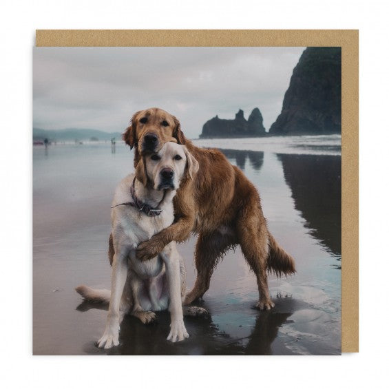 Beach Dogs Hug - Maktus