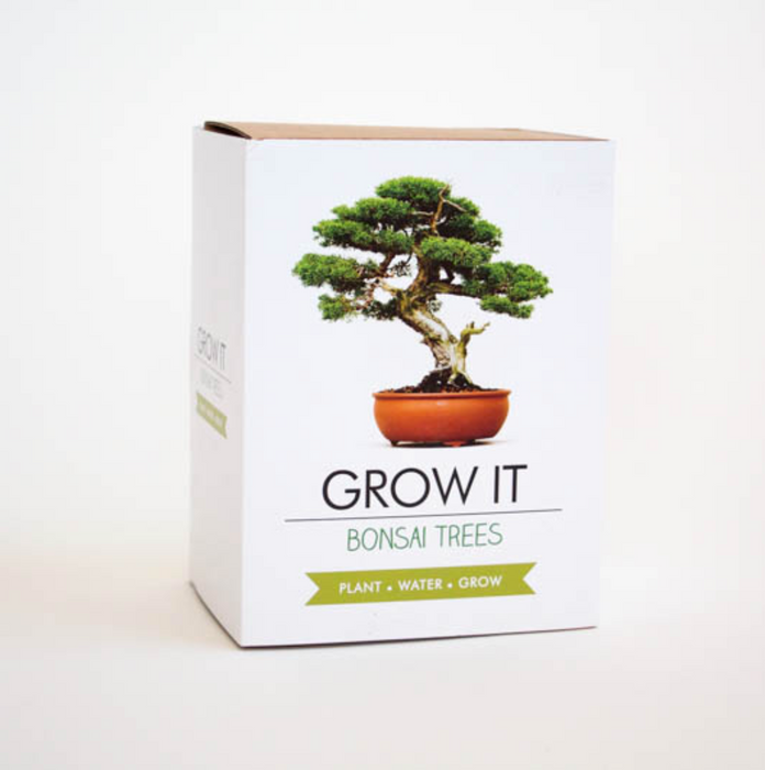 best grow your own bonsai tree kit Maktus