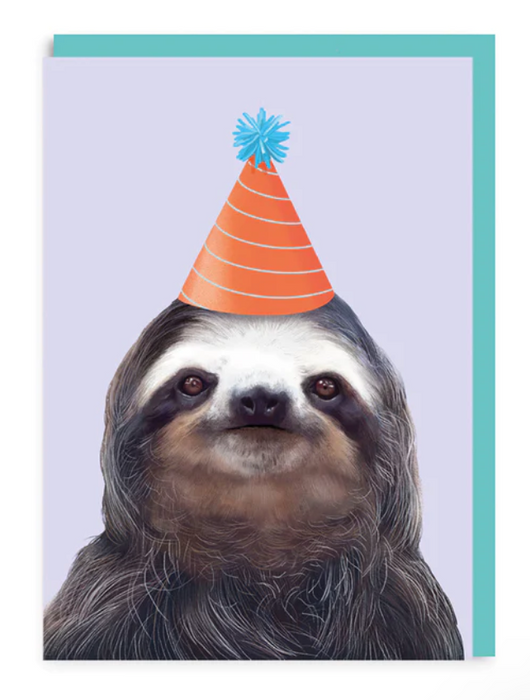 Party Hat Sloth