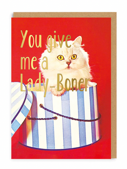 You Give Me a Lady Boner Greeting Card