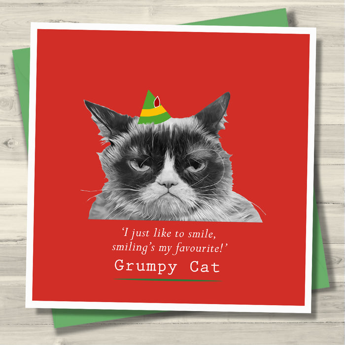 Grumpy Cat - I just Like to Smile, Smiling's My Favourite!